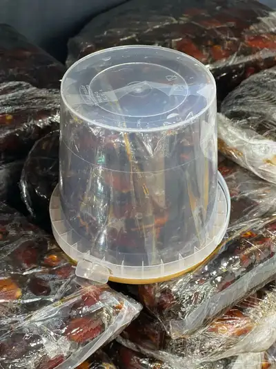 حلوة حائل 0