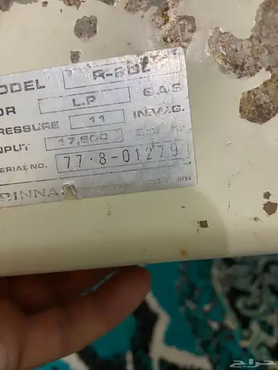 قز ريناي ياباني نادر وهيتر تشيكي 2