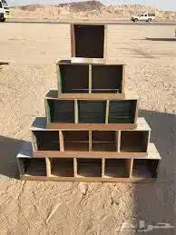شبك حمام دجاج كلاب مخافق اكل علف بياض اراسكو بروتين 2