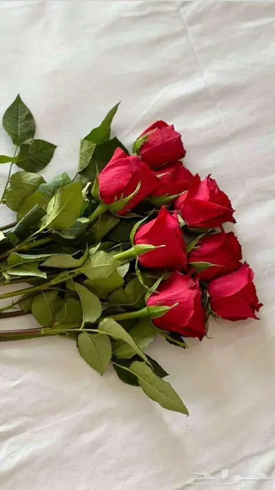 ورد طبيعي جملة 12