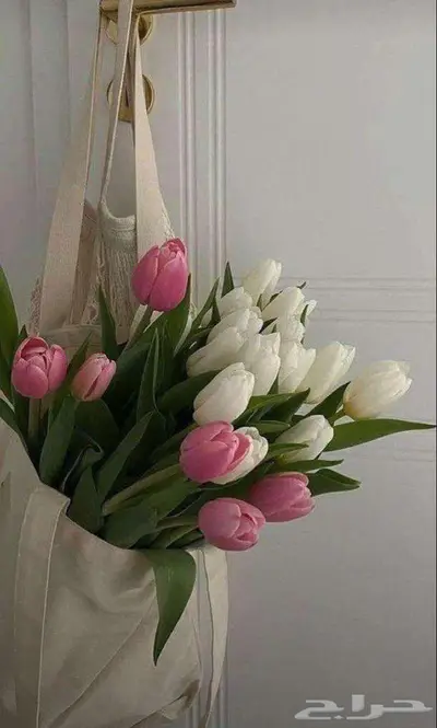 ورد طبيعي جملة 20
