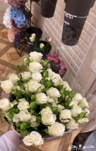 ورد طبيعي جملة 19