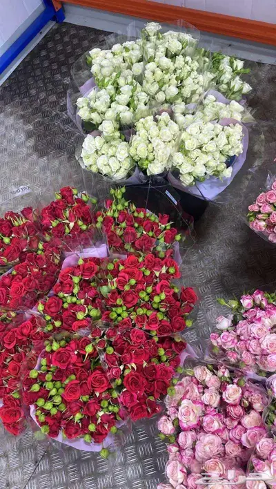 ورد طبيعي جملة 17