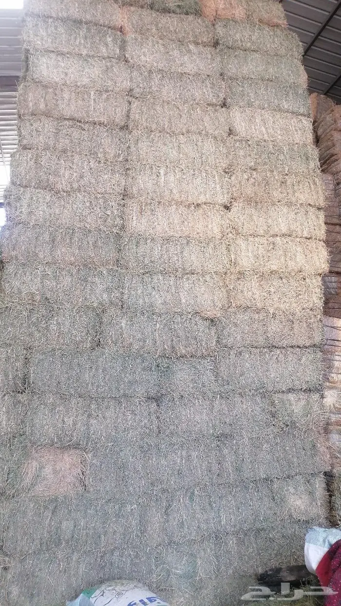 سوق الاعلاف 2