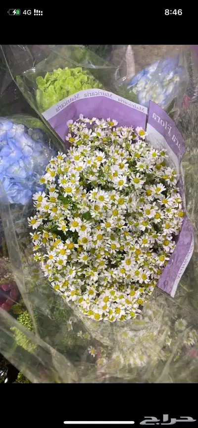 ورد طبيعي جملة 0