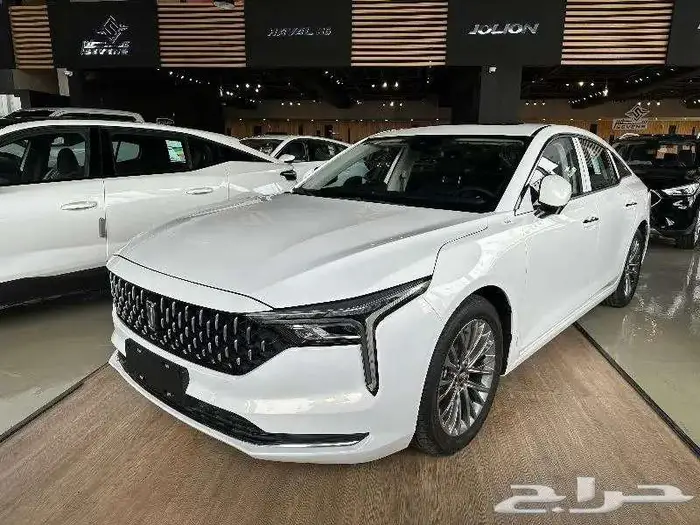 فاو بيستون B70 كمفورت 3