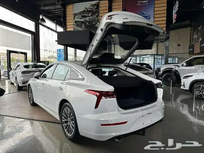 فاو بيستون B70 كمفورت 1