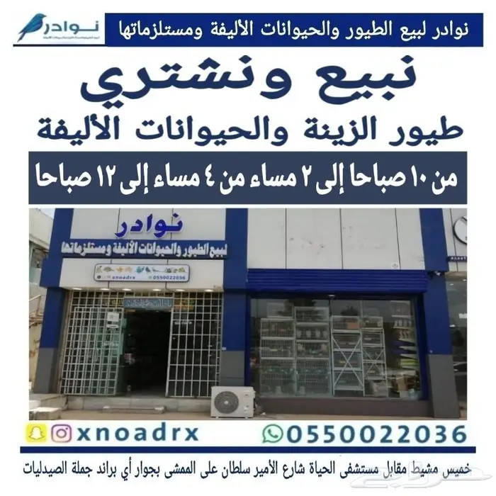 نوادر لبيع الطيور وجميع مستلزماتها 78