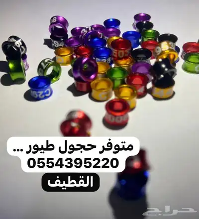 حجول طيور 0