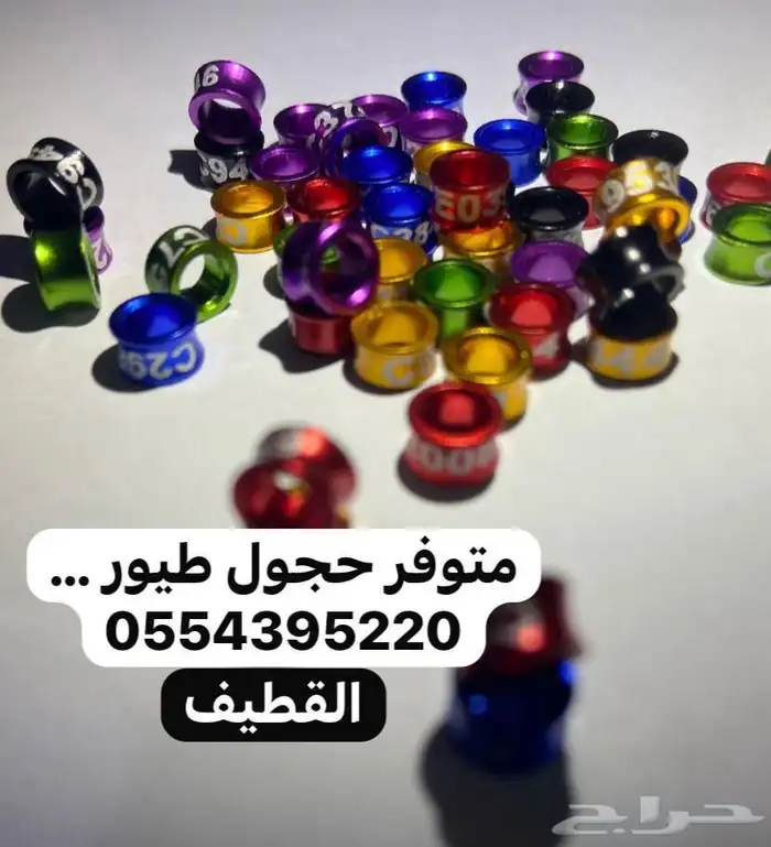 حجول طيور 0