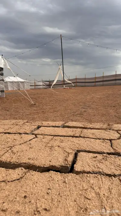 مخيم داخل البلد مخيم جديد و واسع و متكامل 82