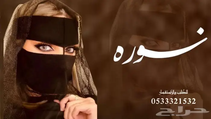 منشد شيلات ساعر جزل 0