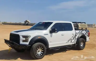 فورد FORD F-150 1