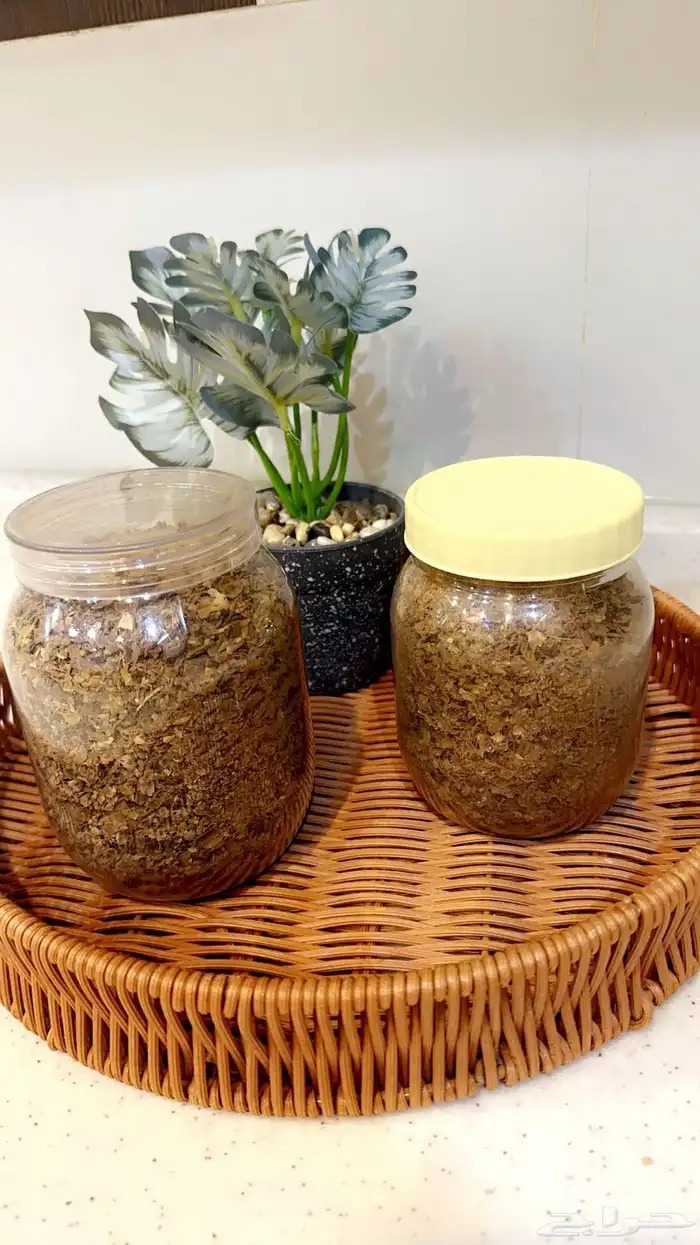 سمن جنوبي واكلات شعبيه 7