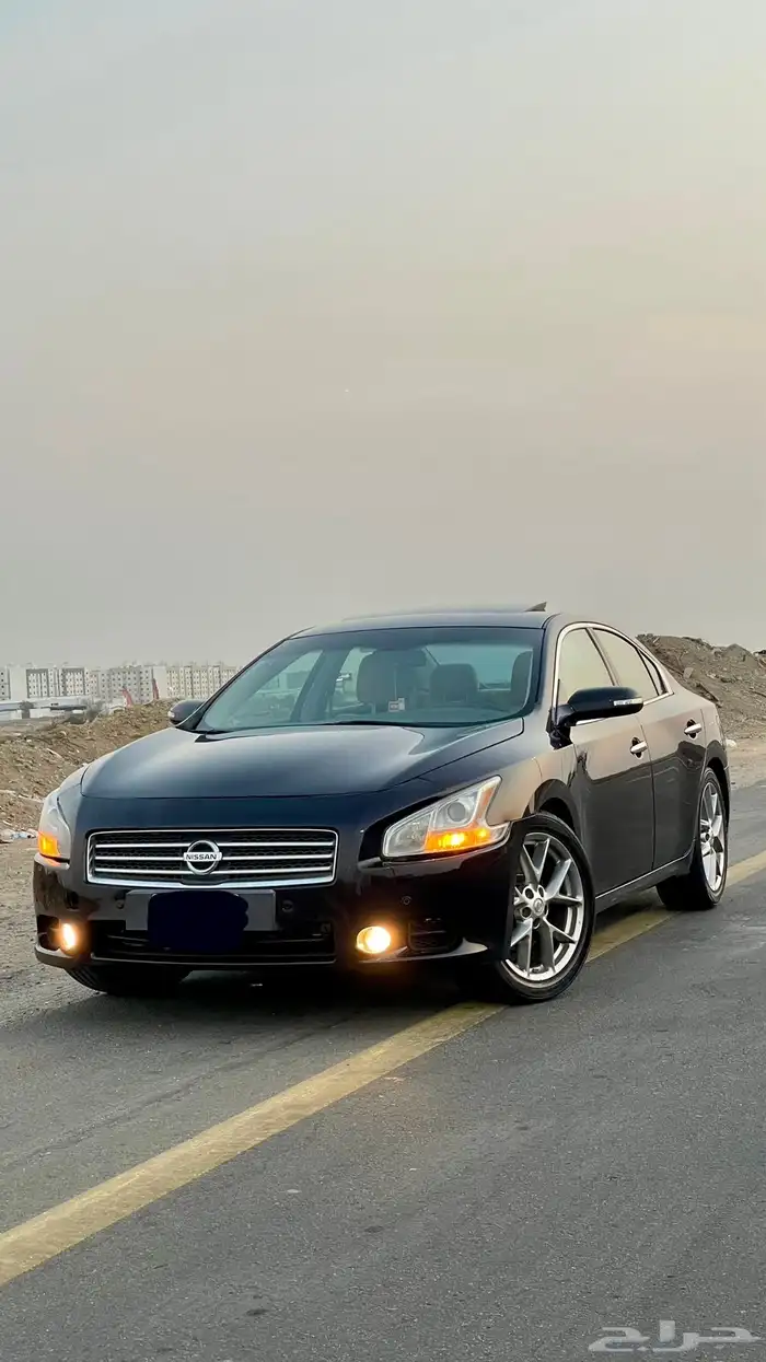 مكسيما 2010 ( تم البيع ) 0