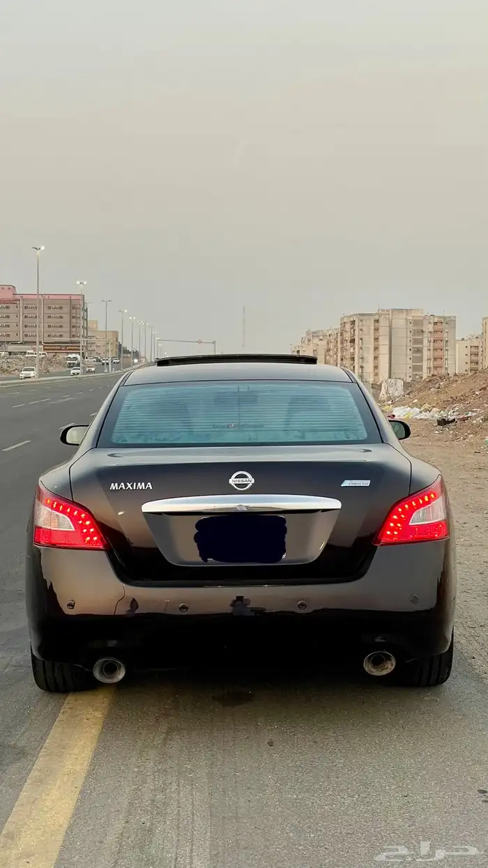 مكسيما 2010 ( تم البيع ) 1