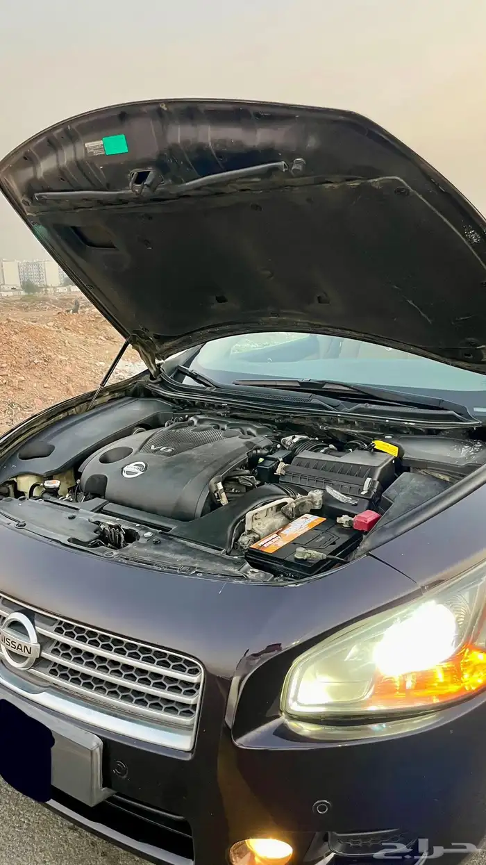 مكسيما 2010 ( تم البيع ) 5