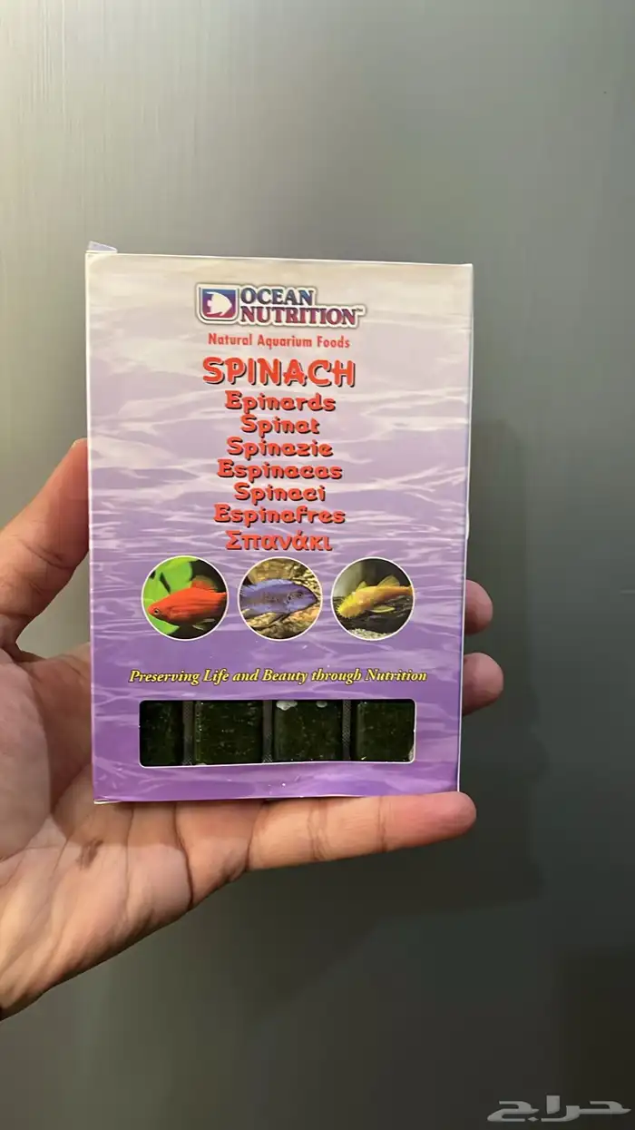 طعام أسماك مجمد 13