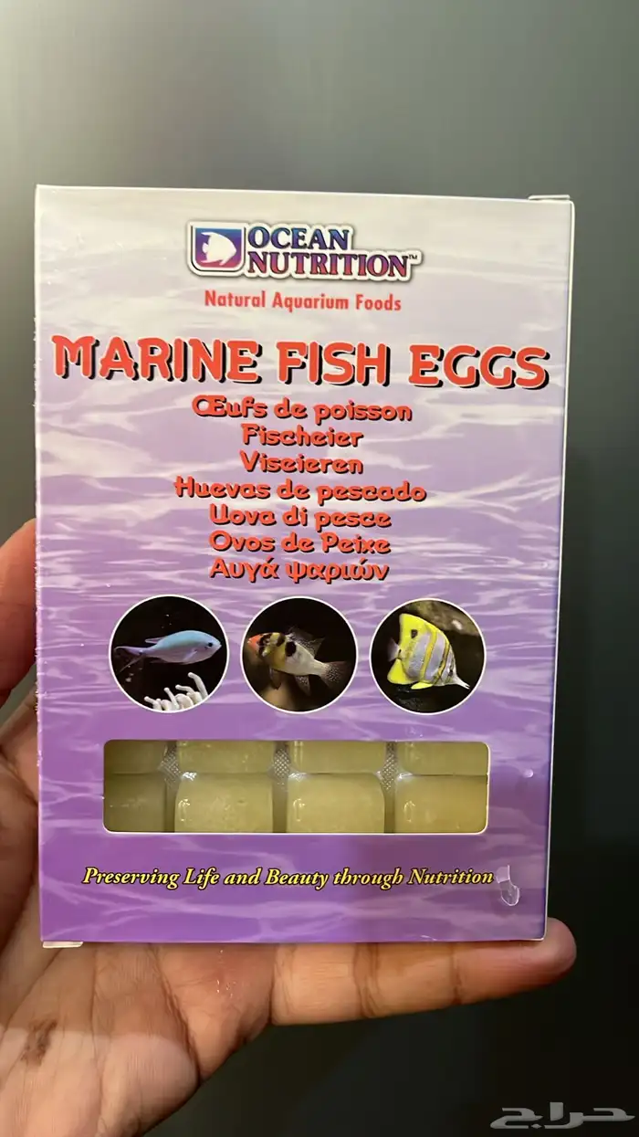 طعام أسماك مجمد 9