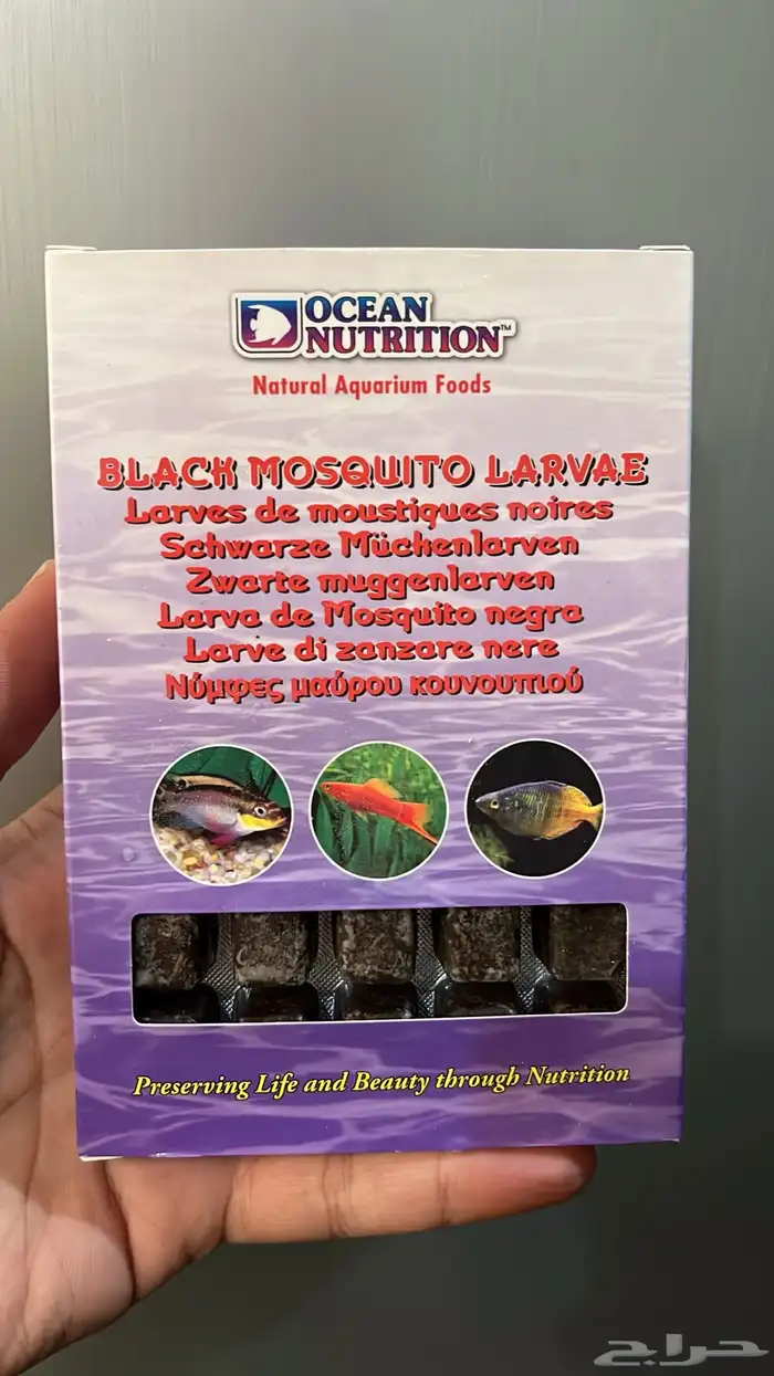 طعام أسماك مجمد 11