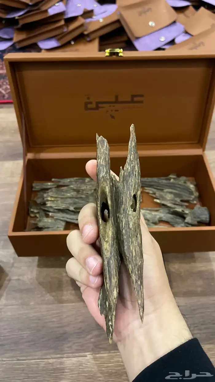 عوز هندي ناجلاند طبيعي 7
