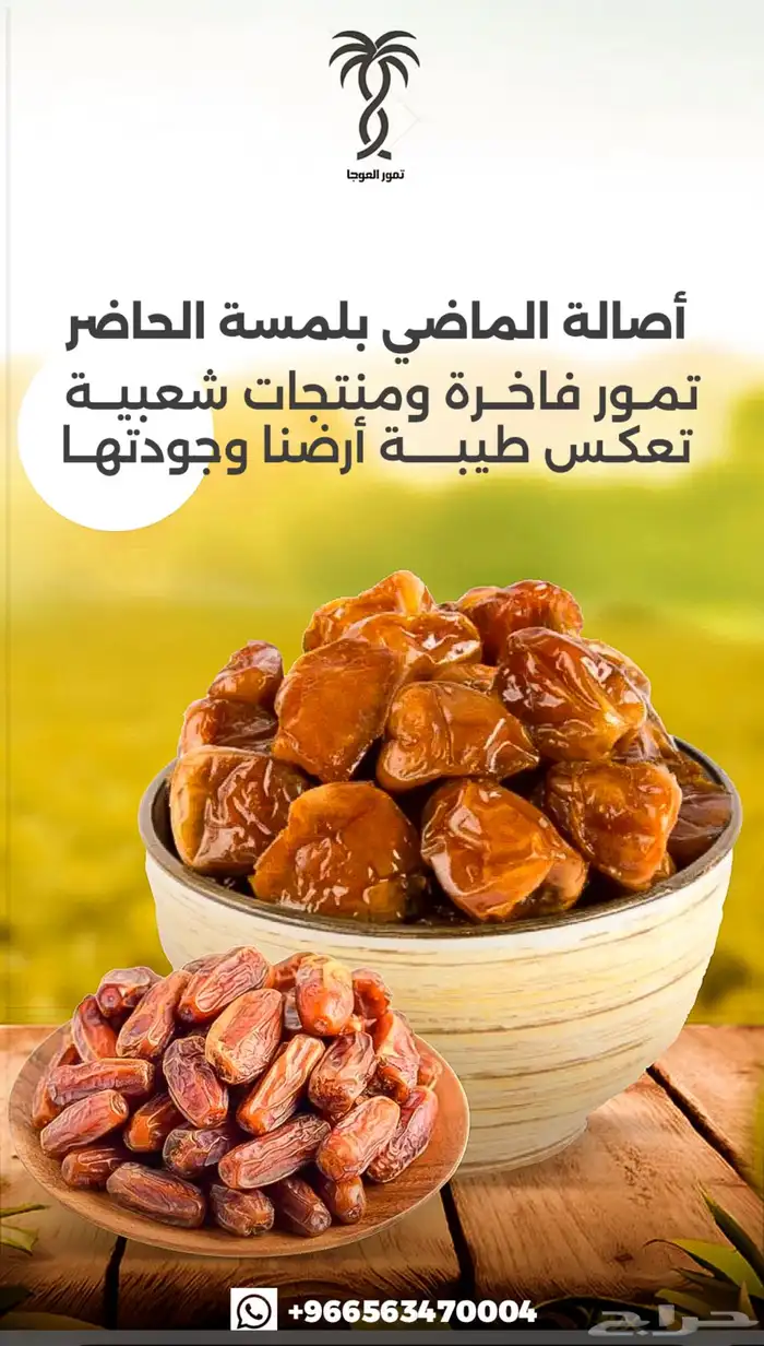 تمور فاخره 8