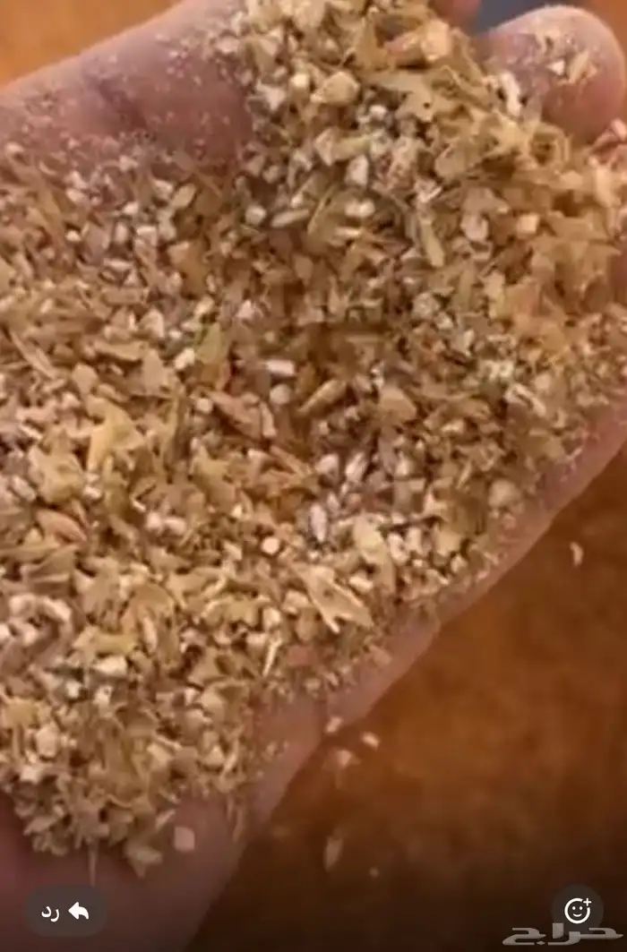 شعير مجروش 3