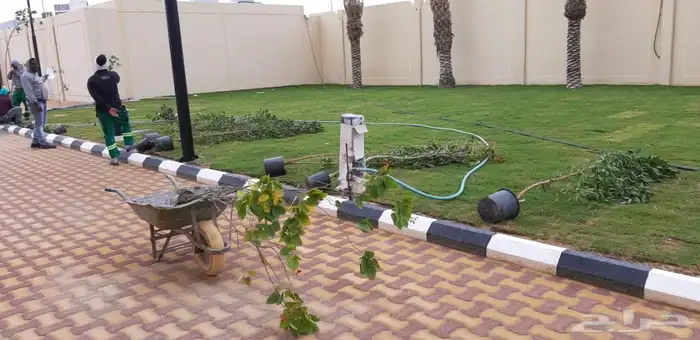 تنفيذ حدائق و ملاعب و منتزهات 28