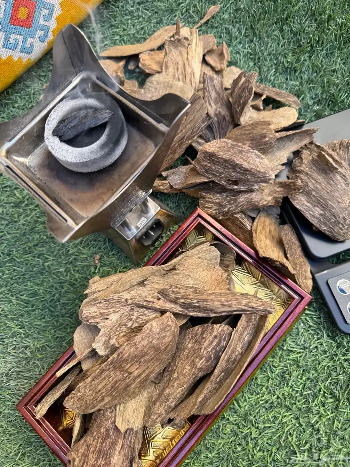 عود سومطري طبيعي 1