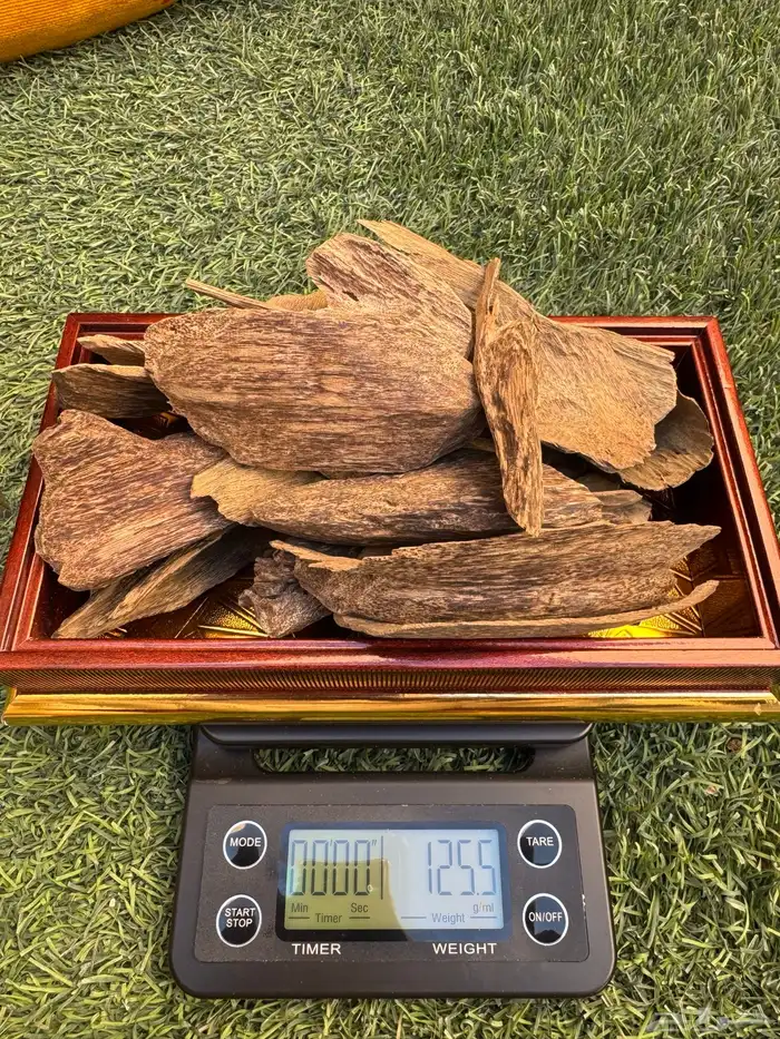 عود سومطري طبيعي 2