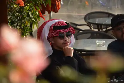 مصور محترف 0