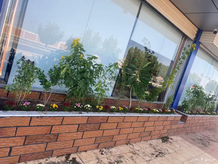 تنسيق الحدائق قص نجيله وتنسيق صناعي باقل من السوق 8