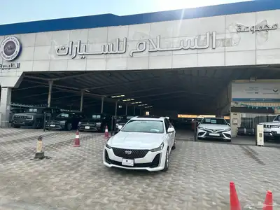 كدلك CT5 2021 .350T 1