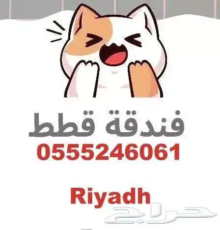 فندقة قطط 6061 24 0555 شاهد التقييمات 0