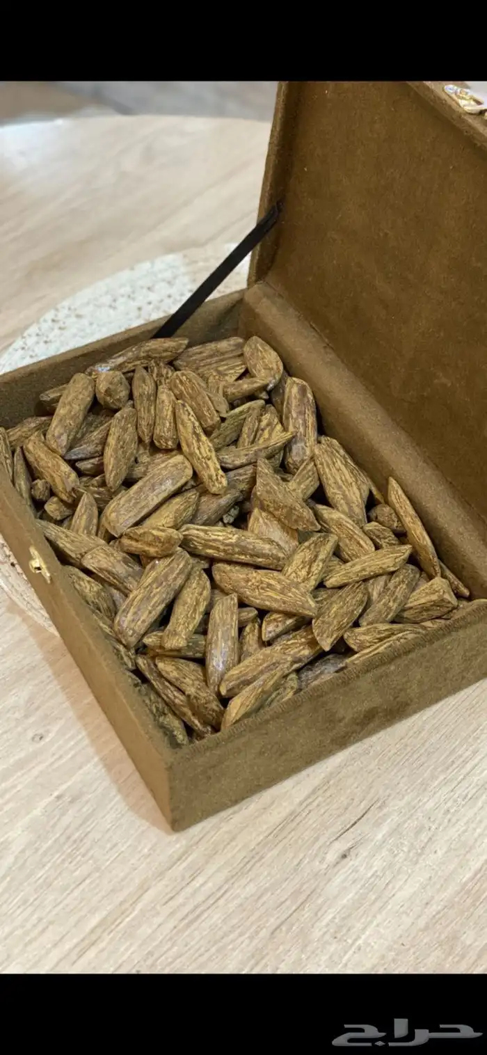 عود مروكي سوبر طبيعي محسن درجة أولى مضمون 1