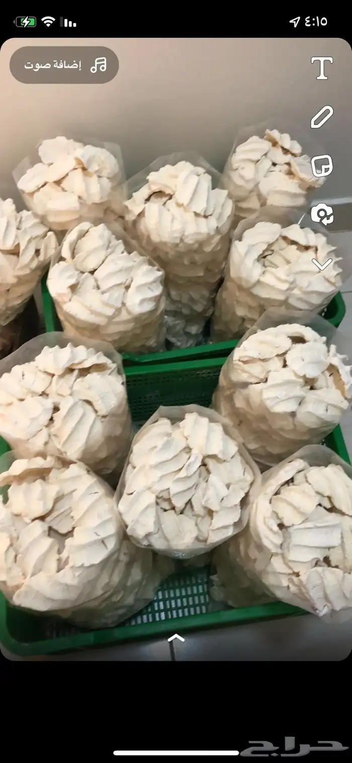 الخبراء 5