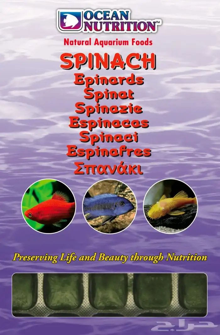 طعام أسماك مجمد 3