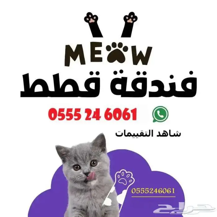 فندقة قطط 6061 24 0555 شاهد التقييمات 1