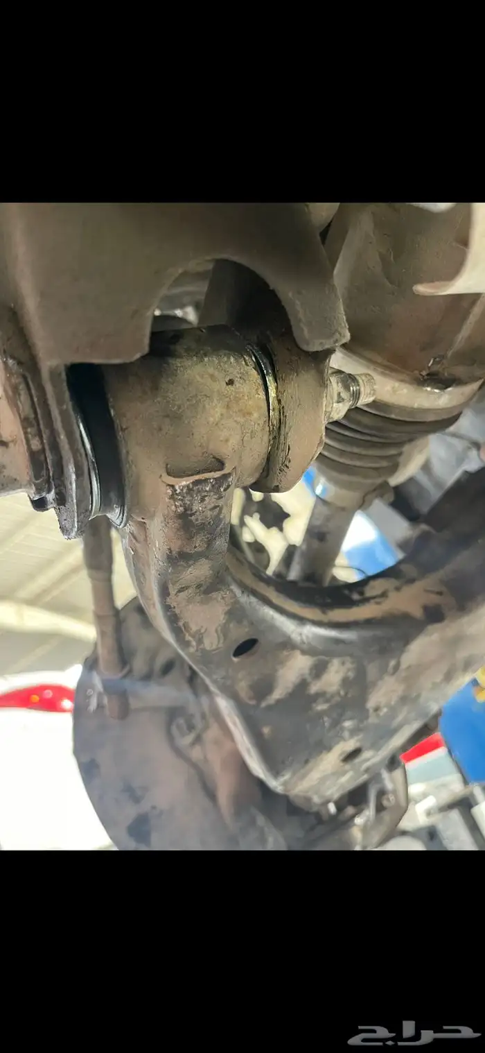 جلد مقاصات استراليه ضمان سنه يوجد تابي وتمارا 2