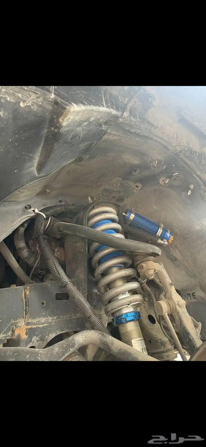 جلد مقاصات استراليه ضمان سنه يوجد تابي وتمارا 0