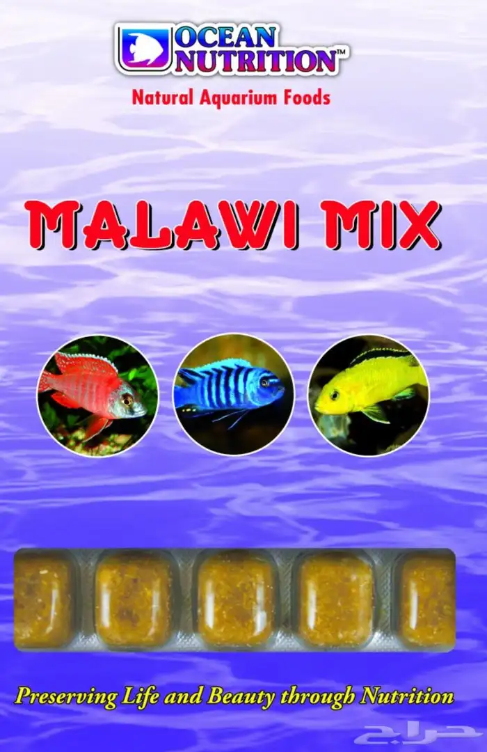 طعام أسماك مجمد 2