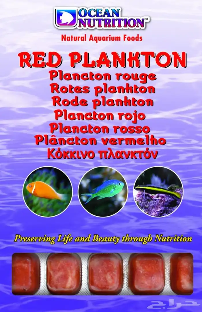 طعام أسماك مجمد 1