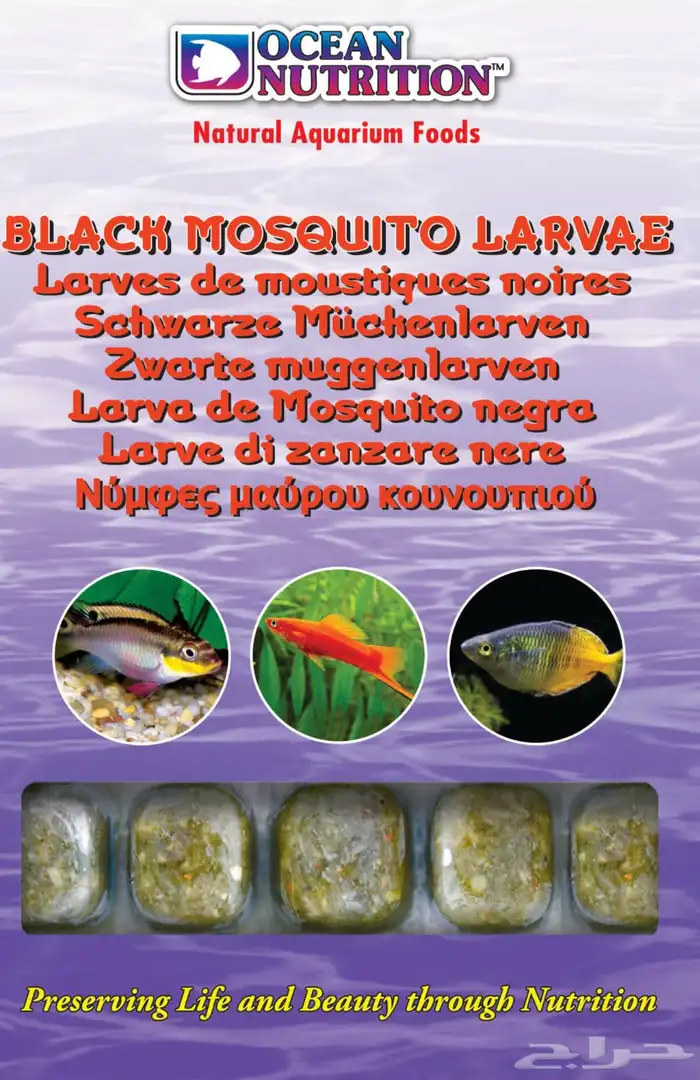 طعام أسماك مجمد 5