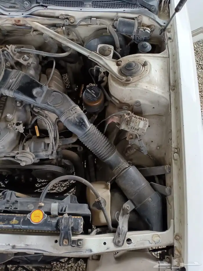 تم البيع كرسيدا 1993م 7