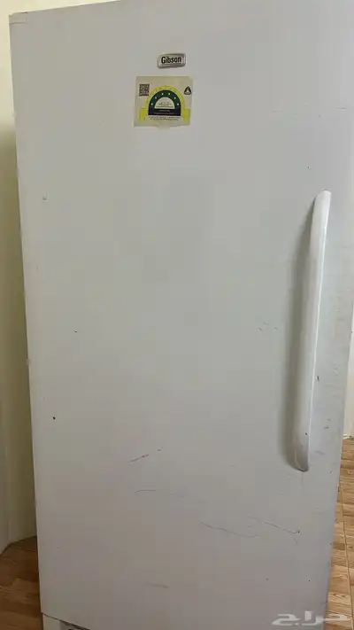 فريزر جبسون أمريكي 0