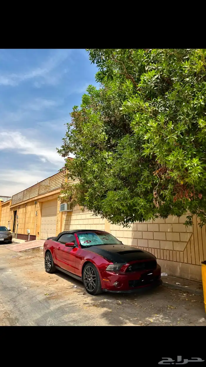 موستنج 2013 8 (تم البيع) 0