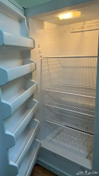 فريزر جبسون أمريكي 3