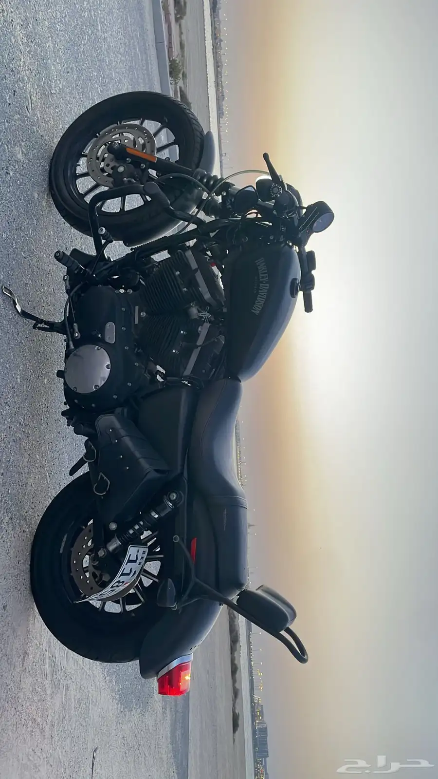 Harley Davidson Sporster 883XL 2