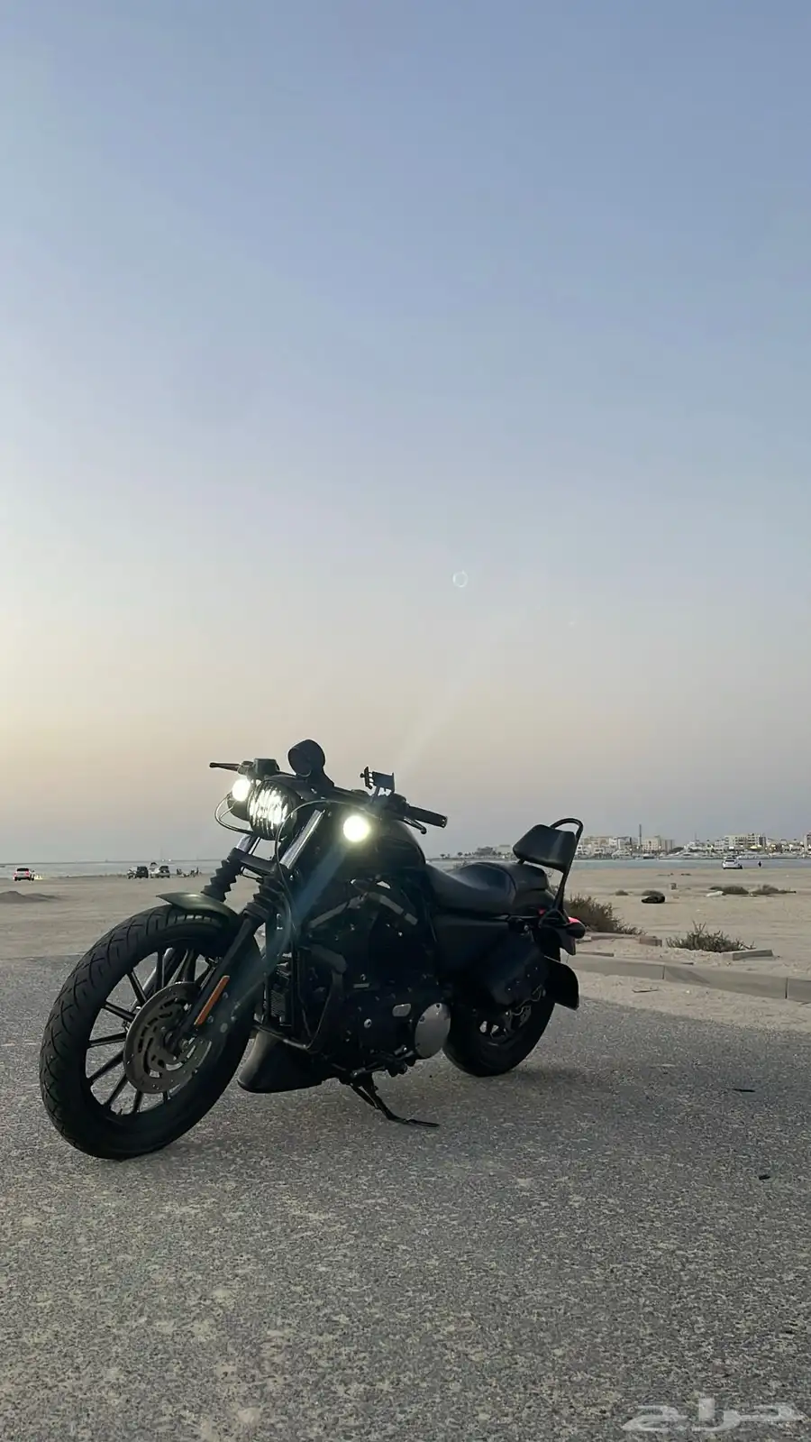 Harley Davidson Sporster 883XL 3