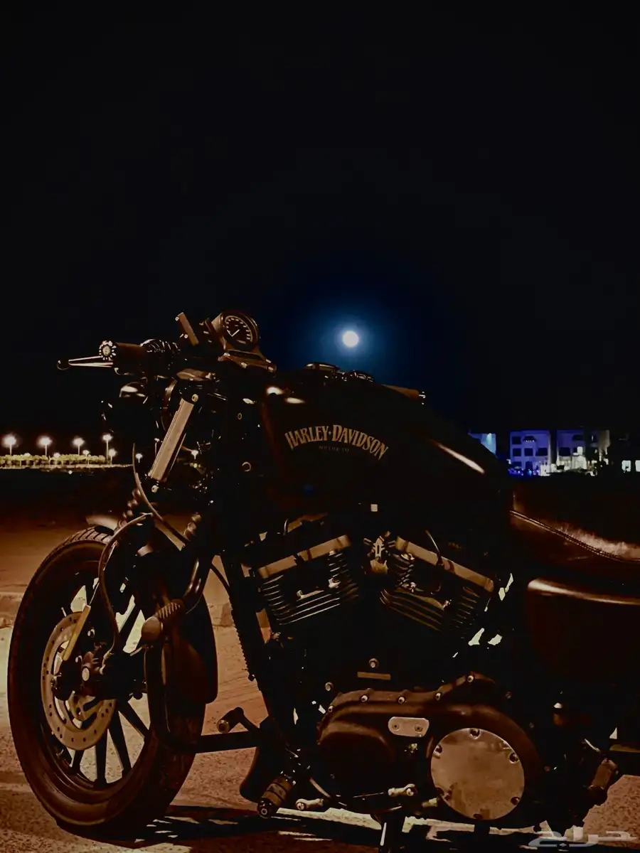 Harley Davidson Sporster 883XL 1